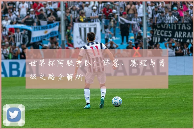 世界杯阿联酋队：阵容、赛程与晋级之路全解析